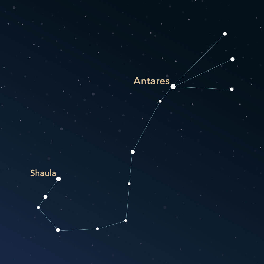 The constellation Scorpius